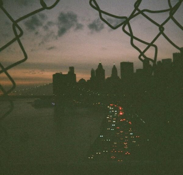 Domain Traffic 604270572 With Link Building