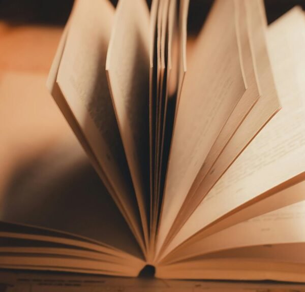 Page Authority 911331317 With Internal Linking