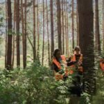 internal linking search visibility