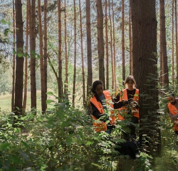 Search Visibility 900108633 With Internal Linking