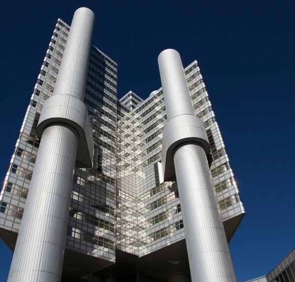 Domain Authority 8888987685 With Technical SEO