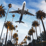 Newark to Delhi Flights: Your Complete Guide from New Jersey to India  